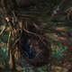 Image for article titled Creating the Na'Vi Way Of Life, One Prop At A Time